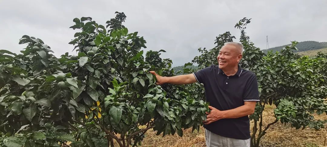 养殖土鱼致富_致富养殖土鱼视频_土鱼养殖视频