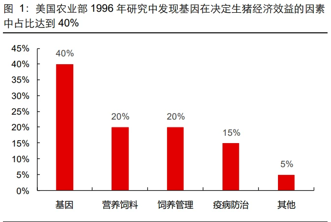 生猪养殖专题报告：为何欧美在种猪繁育上具有领先优势？