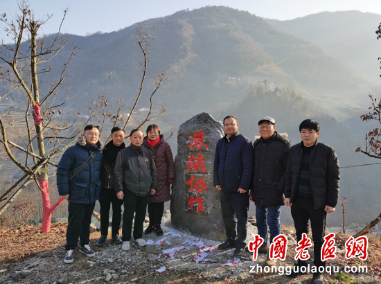 碧根果种植技术视频_碧根果的种植技术_碧根果种植条件视频