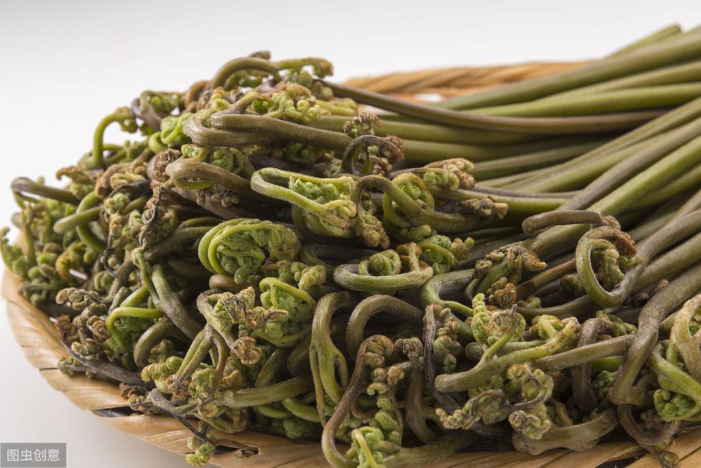 蕨菜怎么种植技术_种植蕨菜技术与管理_种植蕨菜技术要点