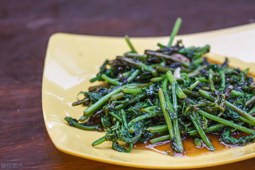 蕨菜种植技术资料_蕨菜怎么种植技术_种植蕨菜技术视频