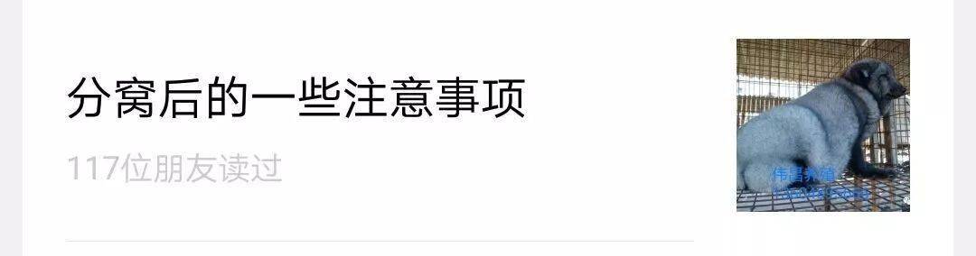 狐狸最新养殖技术_狐狸养殖最新技术要求_狐狸养殖最新技术视频