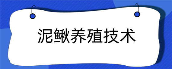 泥鳅养殖技术