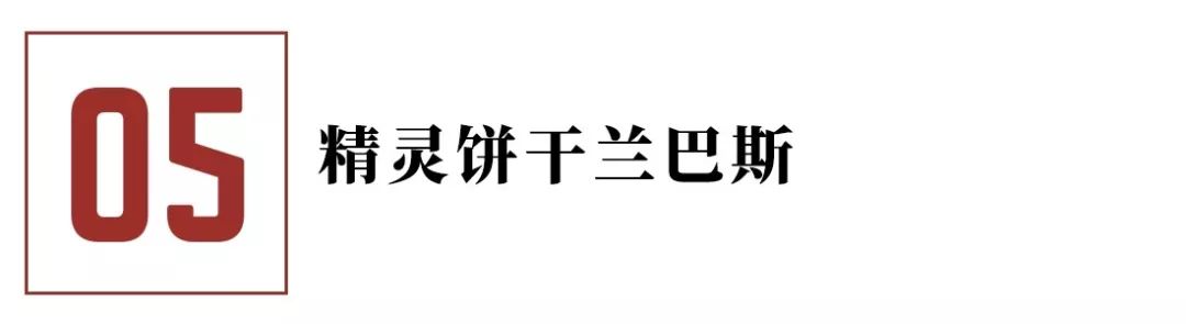 致富经兔子养殖_利昂兔养殖致富_致富经养殖养兔