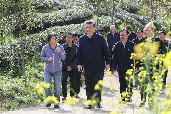 致富经重庆张雷鮰鱼_致富经重庆张雷鮰鱼_致富经重庆张雷鮰鱼