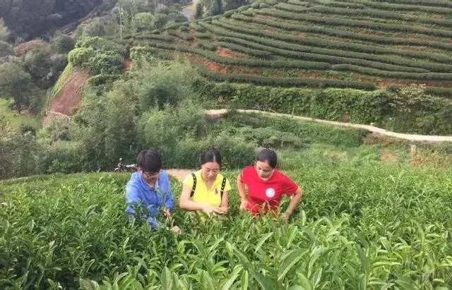 致富经重庆张雷鮰鱼_致富经重庆张雷鮰鱼_致富经重庆张雷鮰鱼