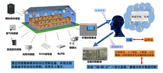 视频土蜂养殖技术_土蜂养殖技术培训_土蜂养殖技术视频大全