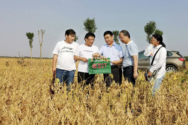 致富大户养牛图片_养牛大户的致富经_致富大户养牛视频