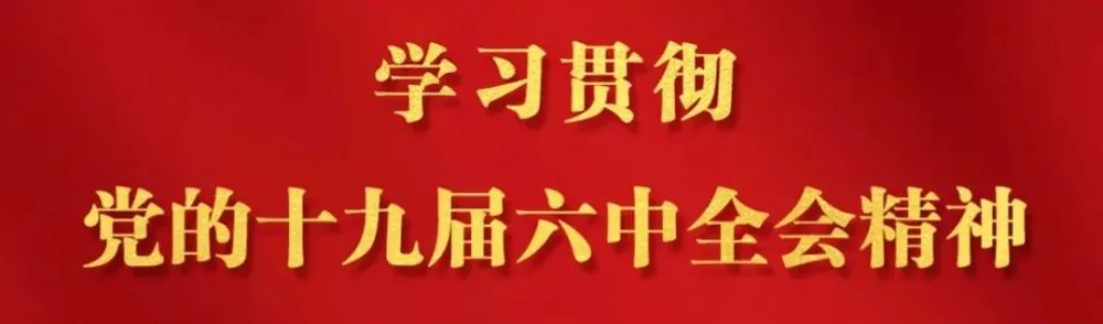 鸽子养殖视频致富经_致富经养殖散鸽子视频_鸽子散养殖技术视频大全