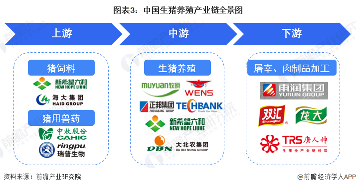 图表3：中国生猪养殖产业链全景图