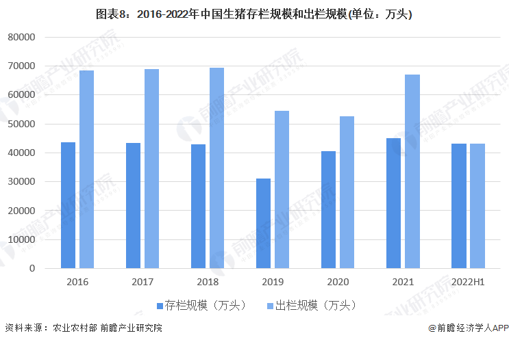 图表8：2016-2022年中国生猪存栏规模和出栏规模(单位：万头)