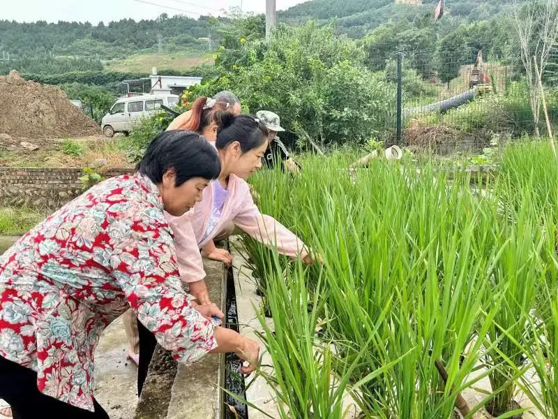 立体养殖鱼技术视频教程_鱼的立体养殖技术_养鱼立体养殖