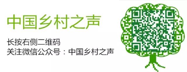 湖北再现“谣言伤农” 黄鳝养殖面积缩减30%