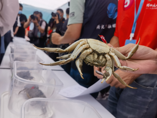 高温养殖致富_高温地区适合养殖什么_致富养殖视频