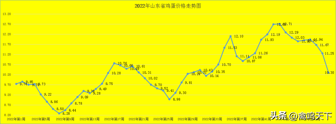 养峰怎么养_养蜂养殖技术视频播放_峰养殖技术