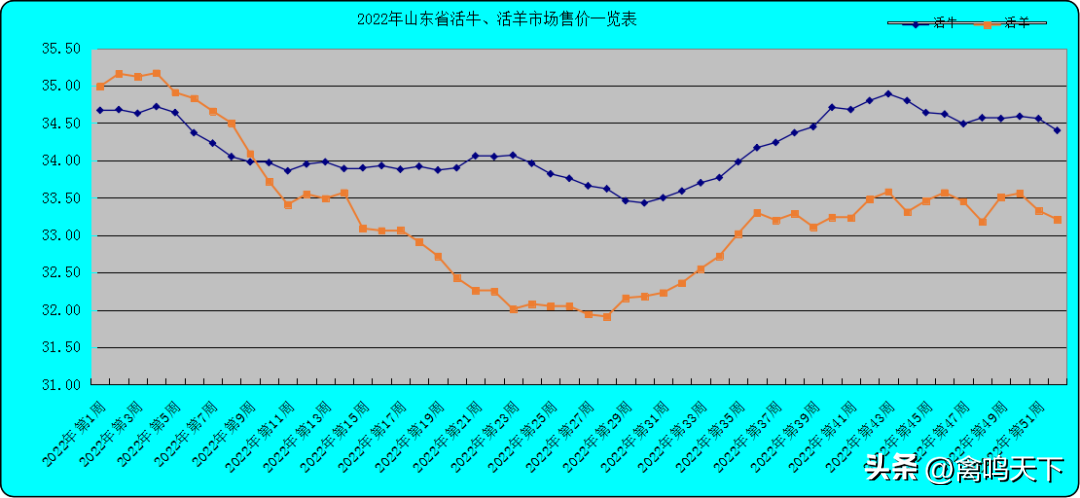 养蜂养殖技术视频播放_养峰怎么养_峰养殖技术