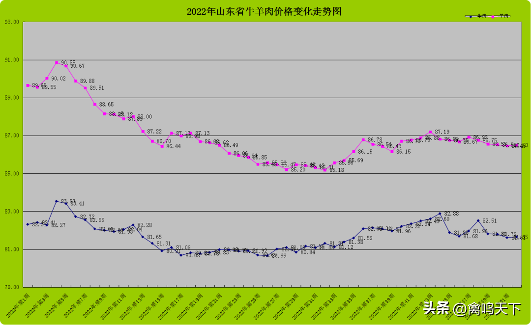 养峰怎么养_峰养殖技术_养蜂养殖技术视频播放