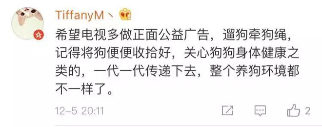 央视致富经养狗_致富项目养狗_致富经养狗致富故事