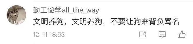 致富经养狗致富故事_央视致富经养狗_致富项目养狗