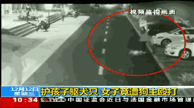 致富经养狗致富故事_央视致富经养狗_致富项目养狗