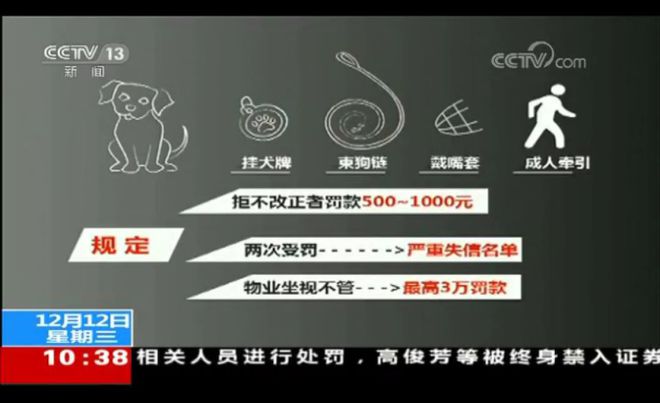致富经养狗致富故事_致富项目养狗_央视致富经养狗