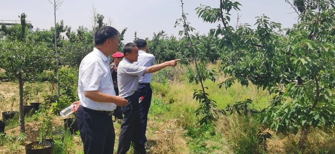 养殖山东蚂蚱技术视频_山东蚂蚱养殖现状_山东蚂蚱养殖技术