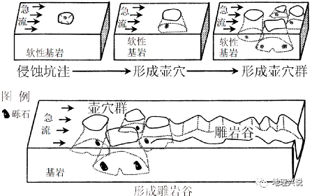 防风种植致富热_防风种植技术_防风的种植前景