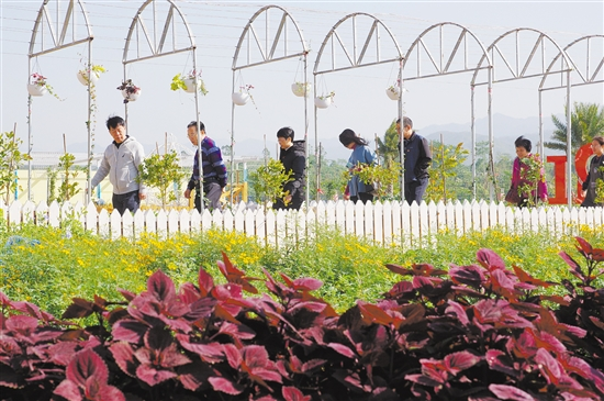 鹤山市宅梧镇红色旅游持续升温，带动当地群众从事生态农业种植致富