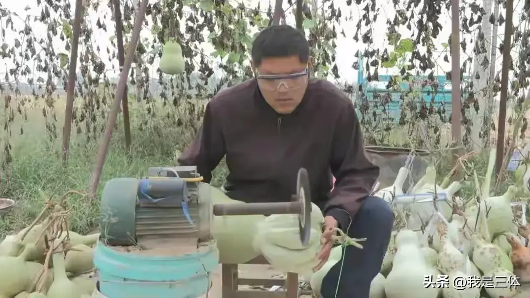 种葫芦收益怎么样_致富经种葫芦_农村种植葫芦有销路吗