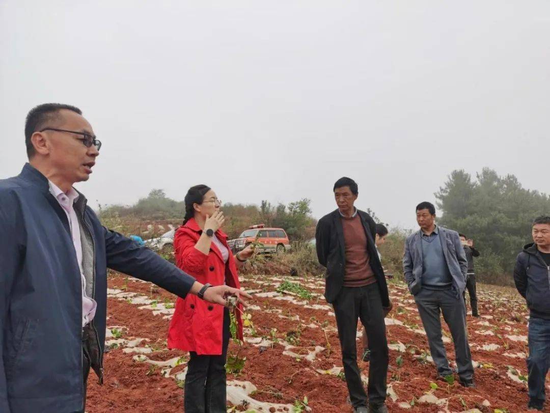 致富种植行业怎么样_种植业致富项目前景好_种植致富行业