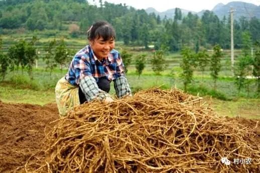 养殖泥鳅前景_致富创业网搞养殖泥鳅_致富经养殖泥鳅视频