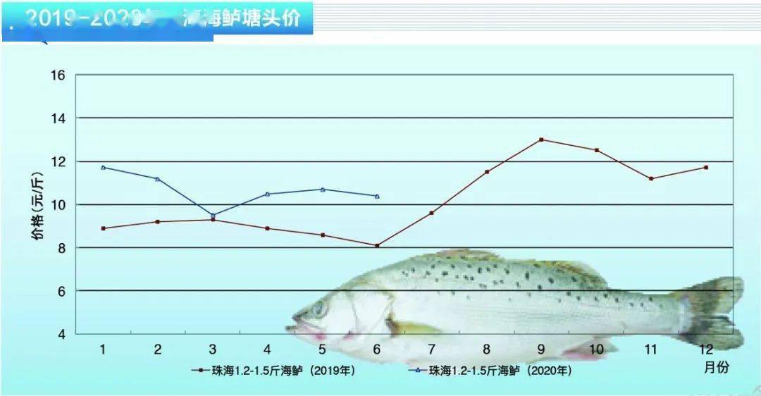 武汉黄牛养殖基地_湖北正规黄牛养殖基地_武汉黄牛养殖技术