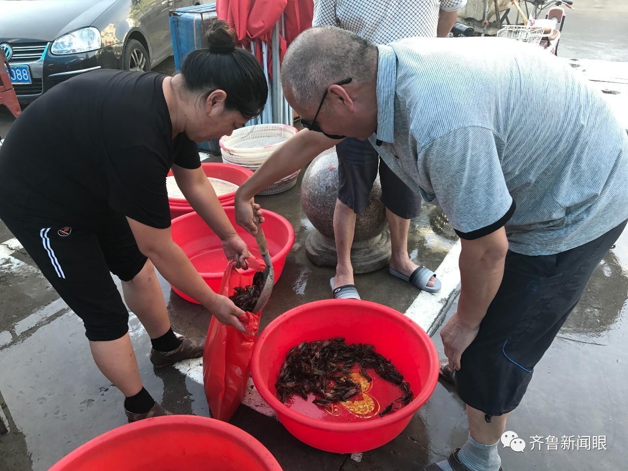 龙口小龙虾养殖_龙虾养殖基地视频_济南小龙虾 养殖技术