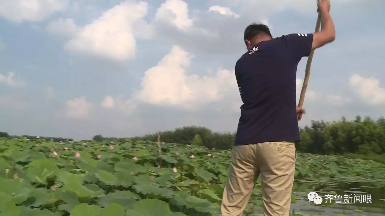 龙口小龙虾养殖_济南小龙虾 养殖技术_龙虾养殖基地视频