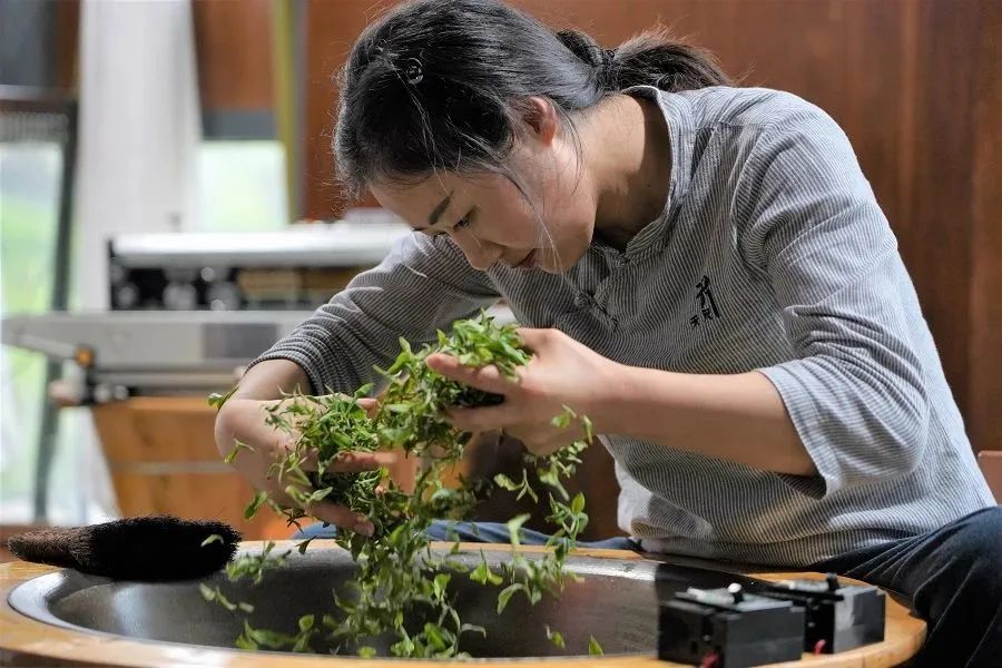 重庆种植户致富_重庆农民种什么_致富户种植重庆有补贴吗