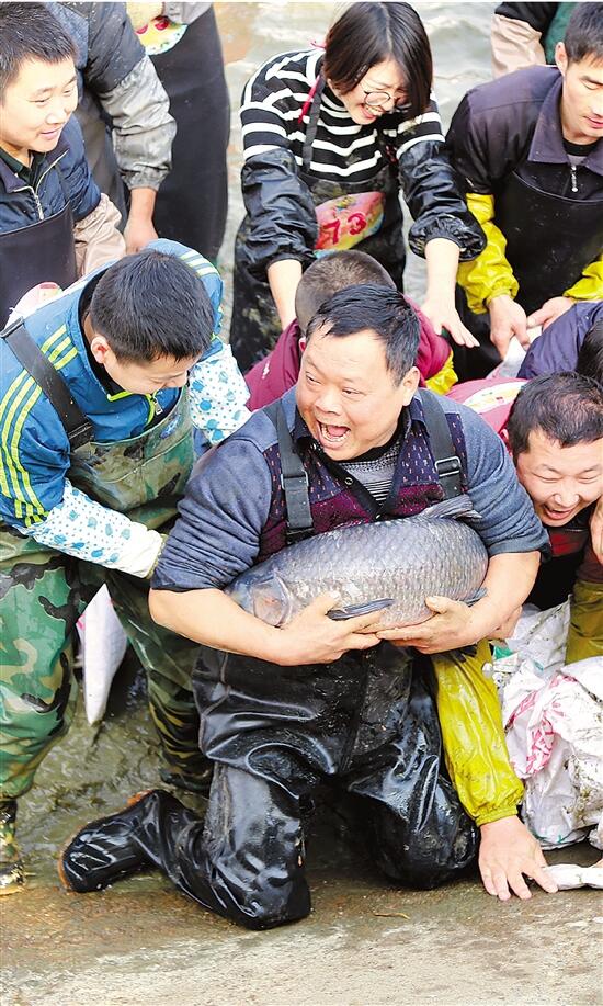 懒人养殖发财致富_懒鱼养殖致富_懒汉养鱼