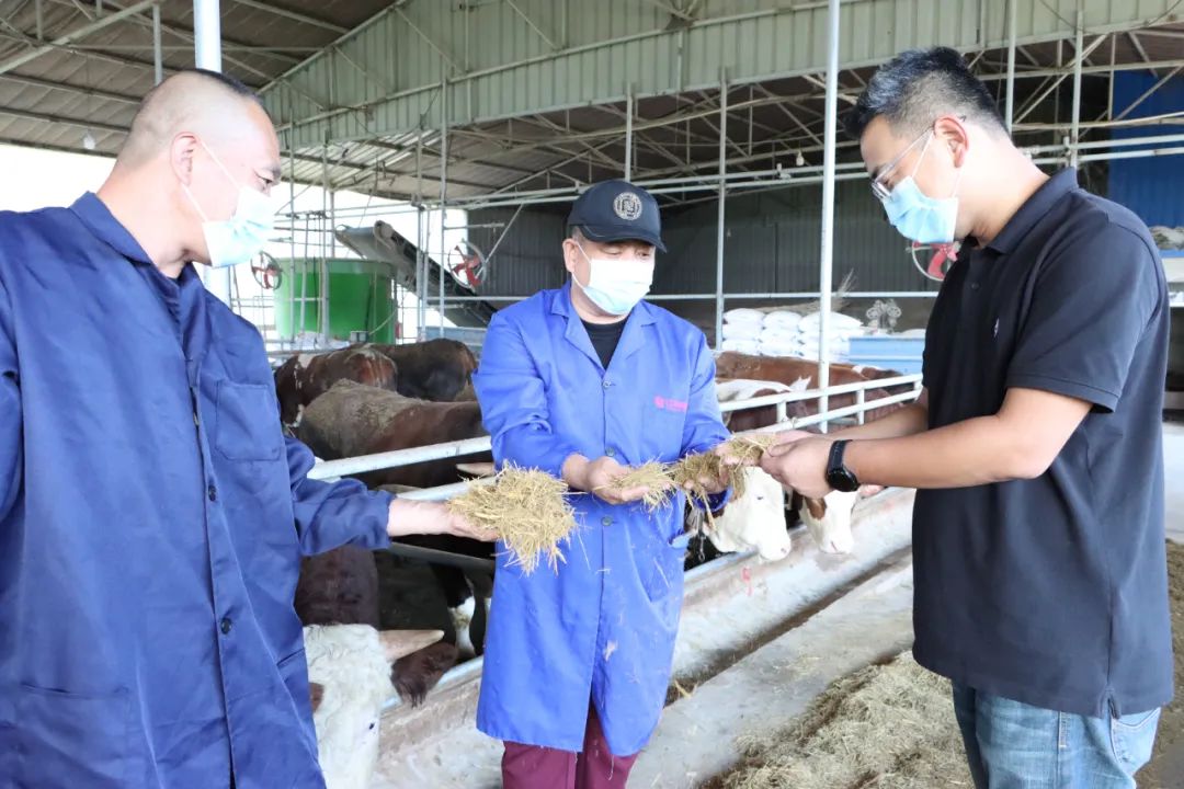 乡村养殖致富小说_农村致富网养殖业_致富养猪场小说