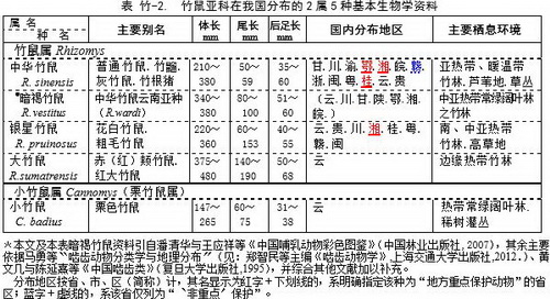 人工养殖竹鼠技术视频_竹鼠养殖技术视频高清_浙江养殖竹鼠技术视频