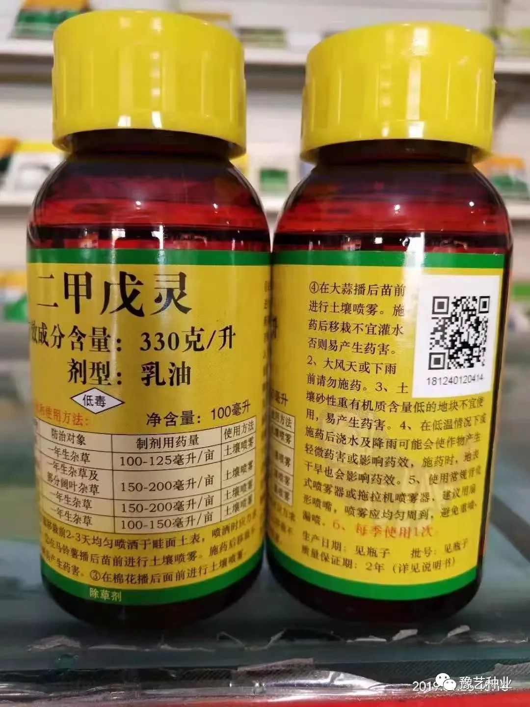 种植葱头方法视频_葱头的种植技术_种植葱头技术要点