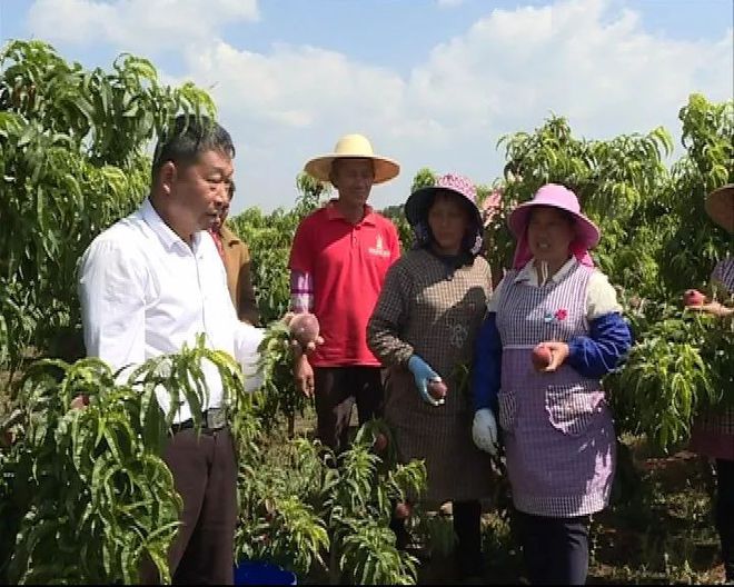 村民科技致富的“领头雁”——记红河州劳动模范田宝和