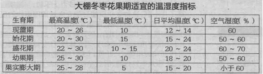 冬枣树栽培_冬枣树怎么种植技术_种冬枣树的注意事项