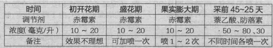 冬枣树怎么种植技术_冬枣树栽培_种冬枣树的注意事项