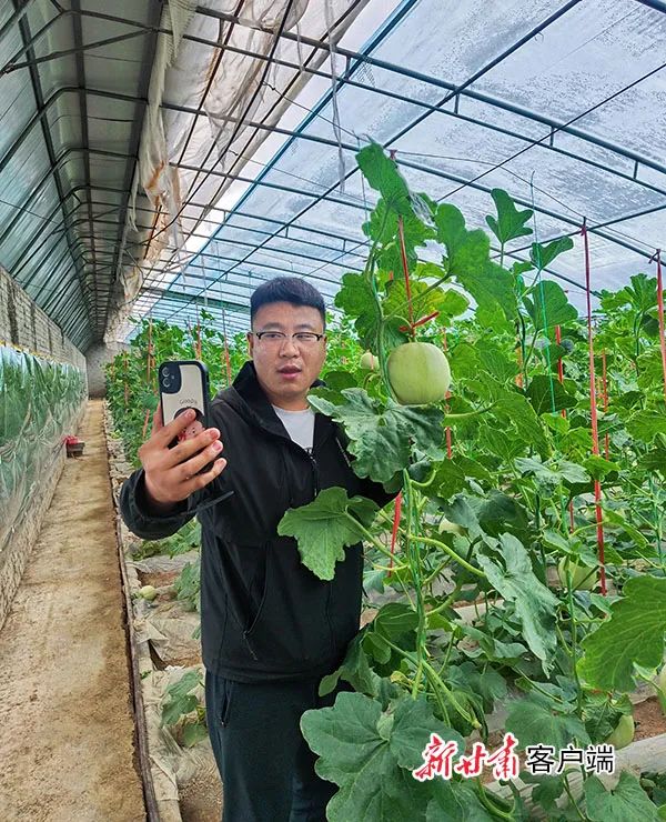 瓜农种植致富视频_农村种瓜的视频_致富经种瓜