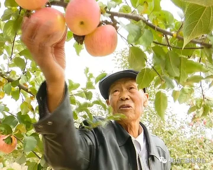 山地致富经_山地种植致富_山区种植什么致富