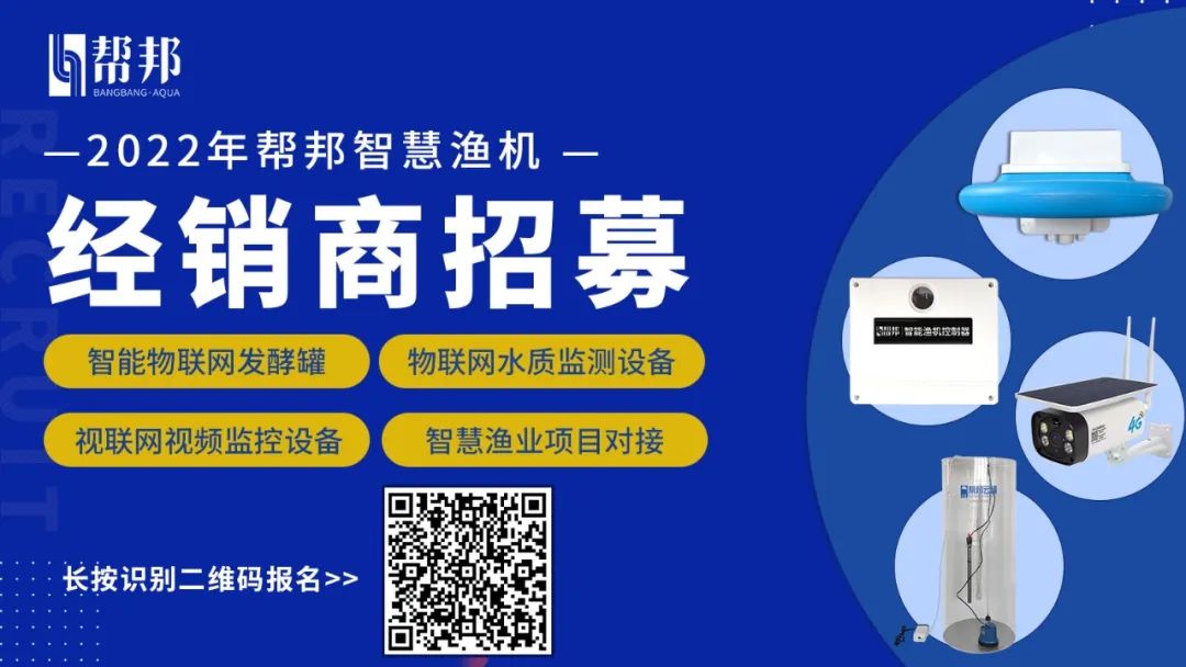 养殖梭子蟹_梭子蟹室内养殖技术_养殖室内梭子蟹技术要点