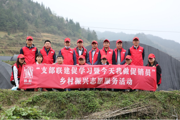 东北地区适合种植羊肚菌吗_东北种植羊肚菌致富新闻_东北羊肚菌种植基地