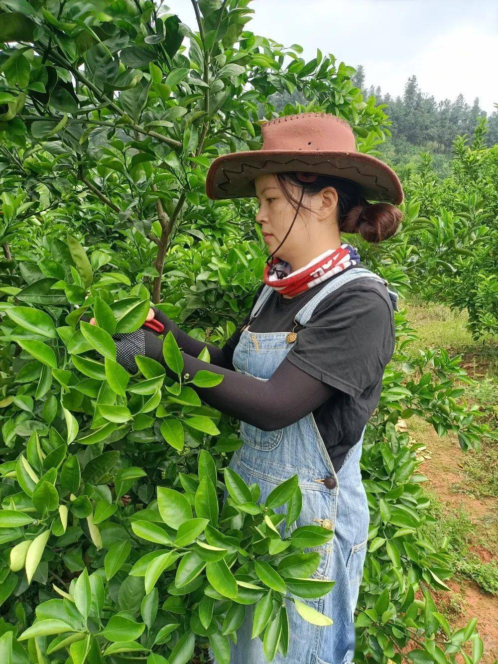 致富养殖新型家庭项目有哪些_家庭新型养殖致富项目_致富养殖新型家庭项目简介