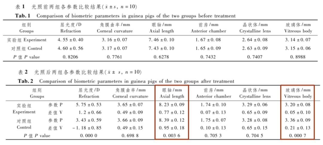 养殖白豚鼠技术要求_养殖白豚鼠技术与管理_白豚鼠的养殖技术