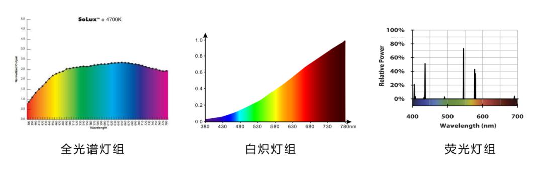 养殖白豚鼠技术要求_养殖白豚鼠技术与管理_白豚鼠的养殖技术