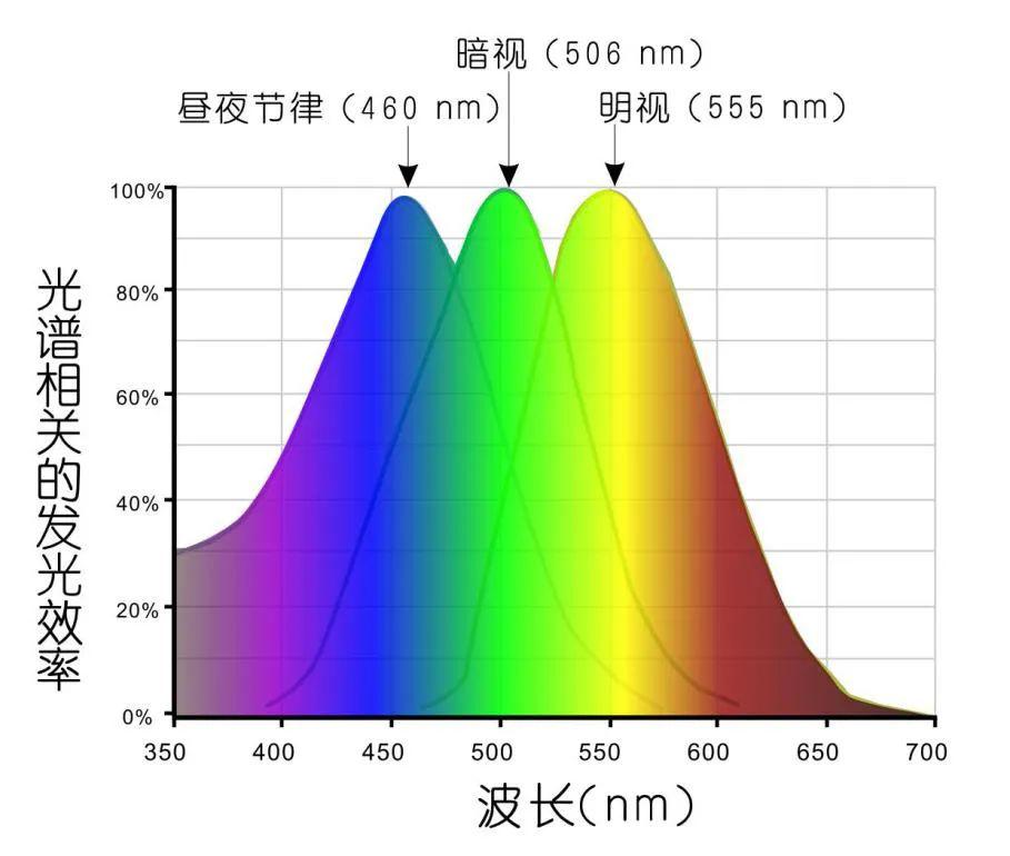 养殖白豚鼠技术要求_白豚鼠的养殖技术_养殖白豚鼠技术与管理